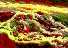 Landscape 1