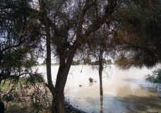 Nature 9