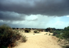 Nature 2