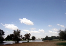 Nature 16