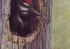 Preparing the Nest - Kayla Martin