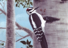 Hanging out in the Birch - Jennifer Bonnycastle