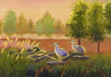 Herons in the Sunset - Frank Yi