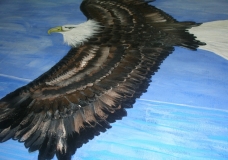 eagle