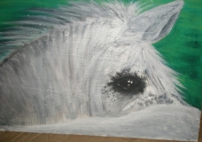 horse