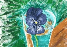 Shot of Viola