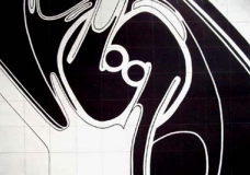 ears2