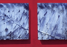 Fossil Fern