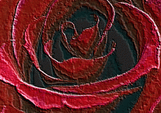 Rose?