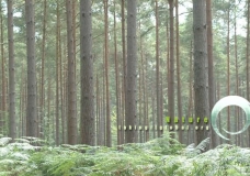 Nature TIG Concept