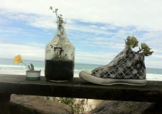 Beach Life