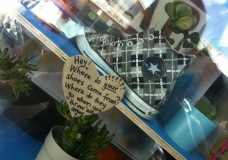 Window Display
