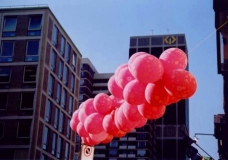 Pink Balloons