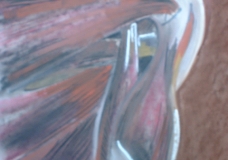 Study 2
