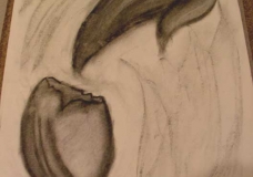 Untitled1