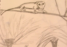 Wildlife