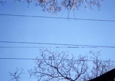Looking Up