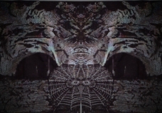 Spirits, Caves & Webs