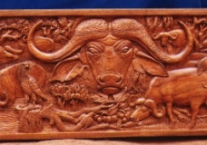 Buffalo family