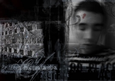 Fatal Memorys