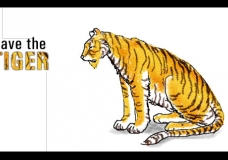 Save the Tiger