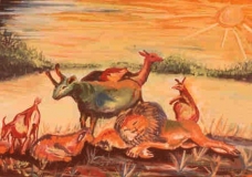 Animal Kingdom