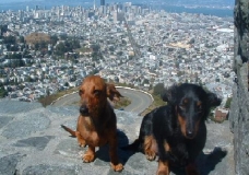 Twin Peaks