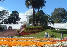 Arboretum