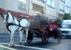 Horse and Buggy