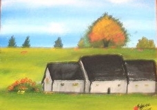 Journey to the Backyard