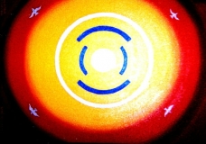 THE COSMIC EGG