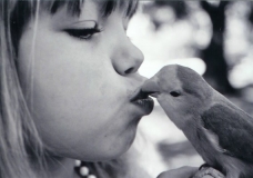 A Bird Kiss