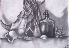 Charcoal Still-life