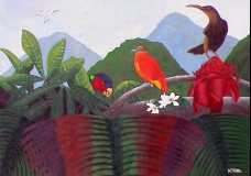 Tropical birds