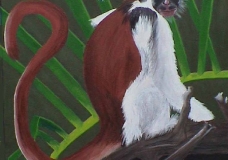 Monkey
