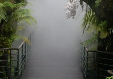 Mist