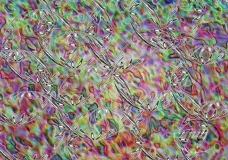 Passion Bubbles