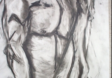 Male Torso