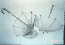 Two Umbrellas