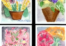 Four Flower Sets (postcards)