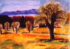 Countryside