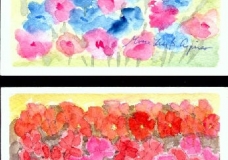 Forget-me-nots and Geraniums (postcards)