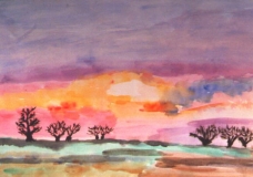 Multicolor Sunset