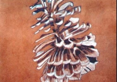Pinecone