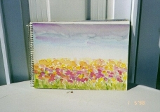Spring Flowers