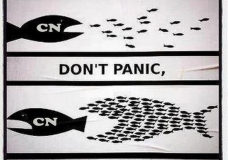 peace vs. china