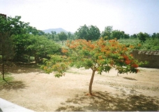 nature and resources