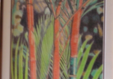 red bamboo