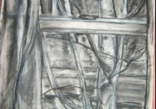 birch outside bathroom window