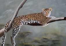 Leopard relaxing on a branch